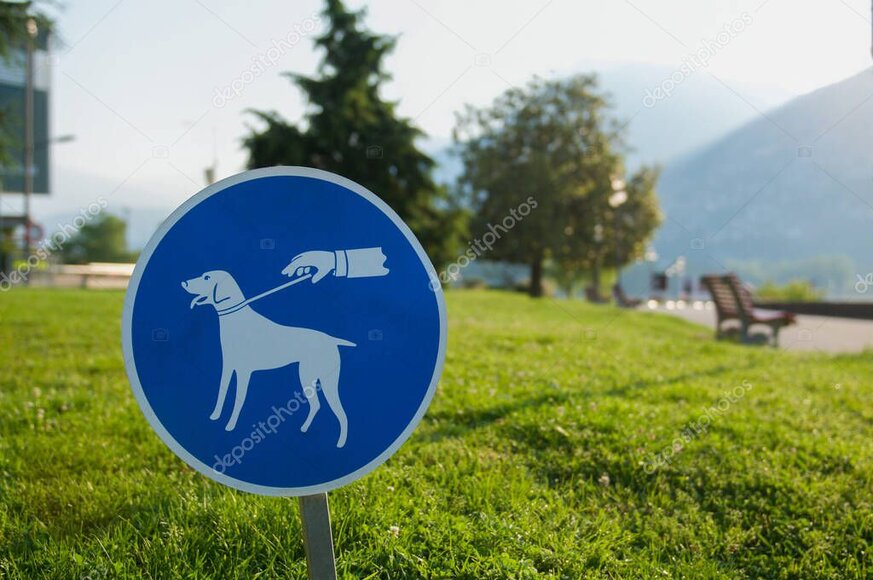 Halter mit angeleintem Hund in einer Schweizer Kleinstadt, Symbolbild für Hundegesetze