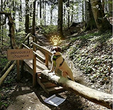 Hundetrainerin arbeitet im Einzeltraining mit einem Hund und seiner Halterin