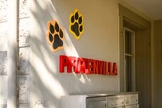 Hund in einem Tierheim, der von einer Person an der Box begrüßt wird