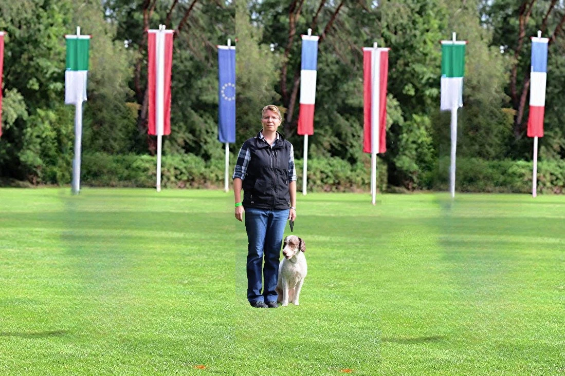 Hund geht an lockerer Leine neben seiner Halterin auf einem Spazierweg